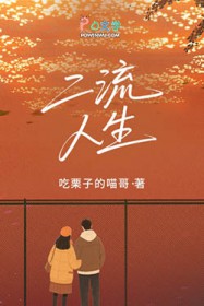 二流人生