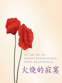 火烧的寂寞