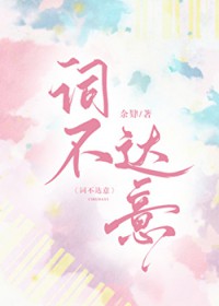 词不达意